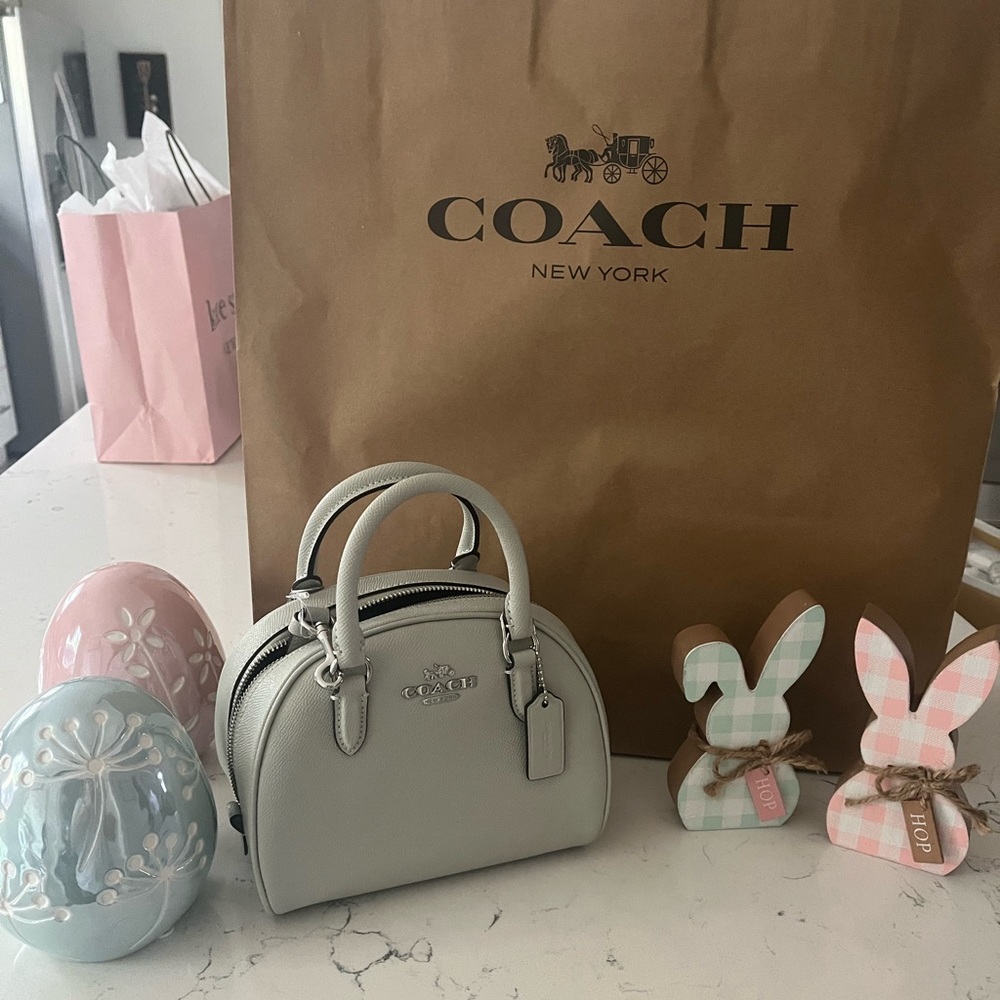 Mini coach bag